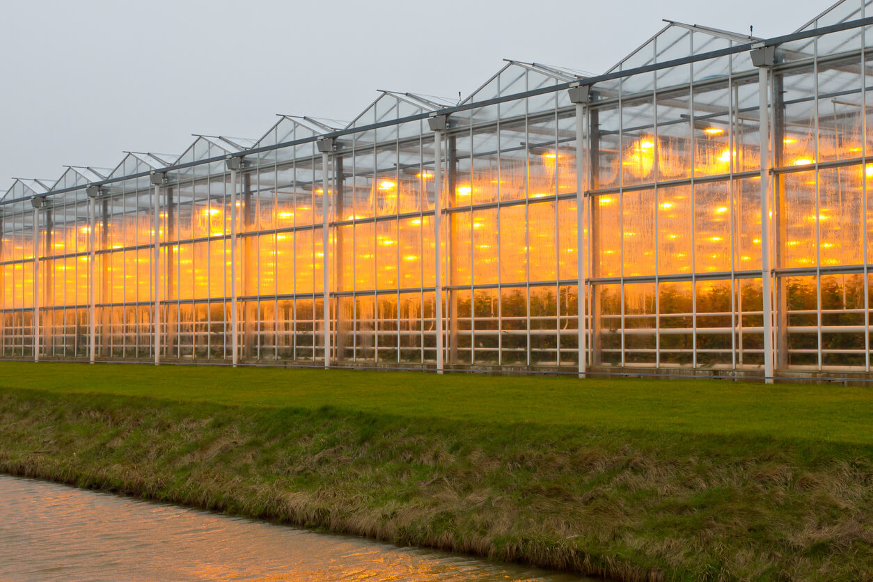 JBR geeft advies aan klanten die actief zijn in de sector Food & Agri